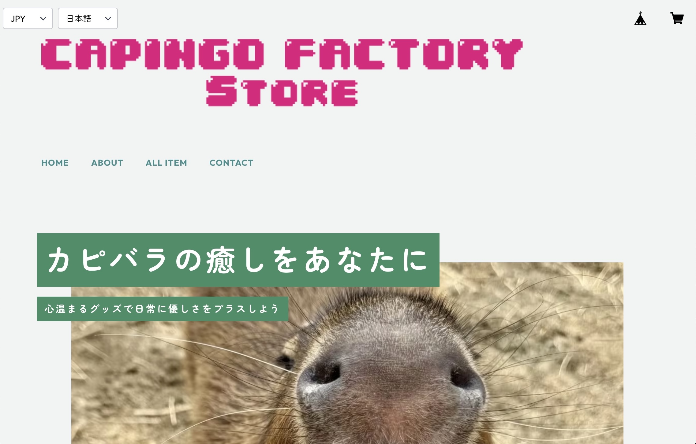 CAPINGO FACTORY Store